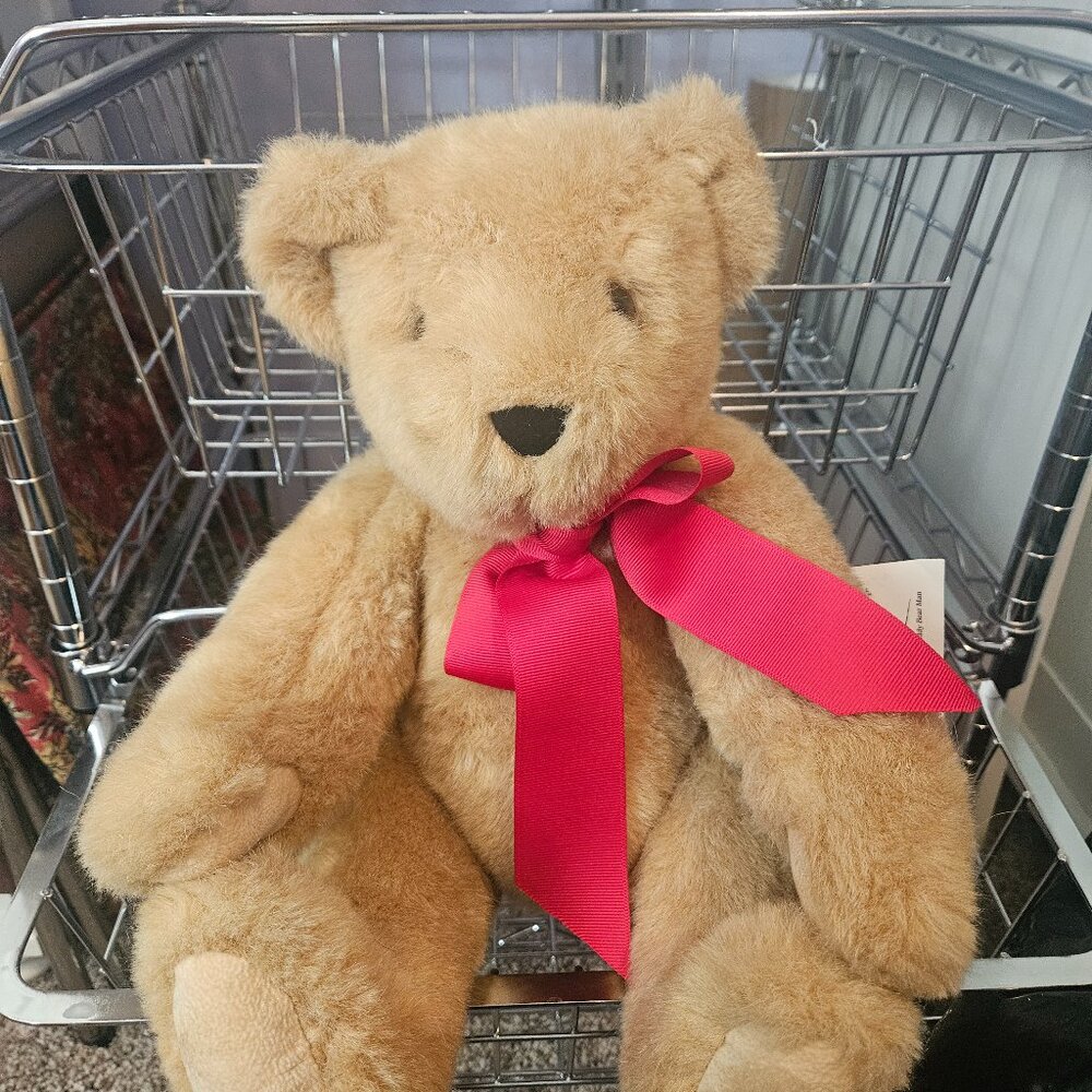 Vermont Bear